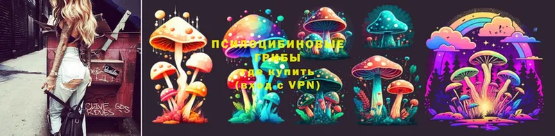 Псилоцибиновые грибы MAGIC MUSHROOMS Солигалич